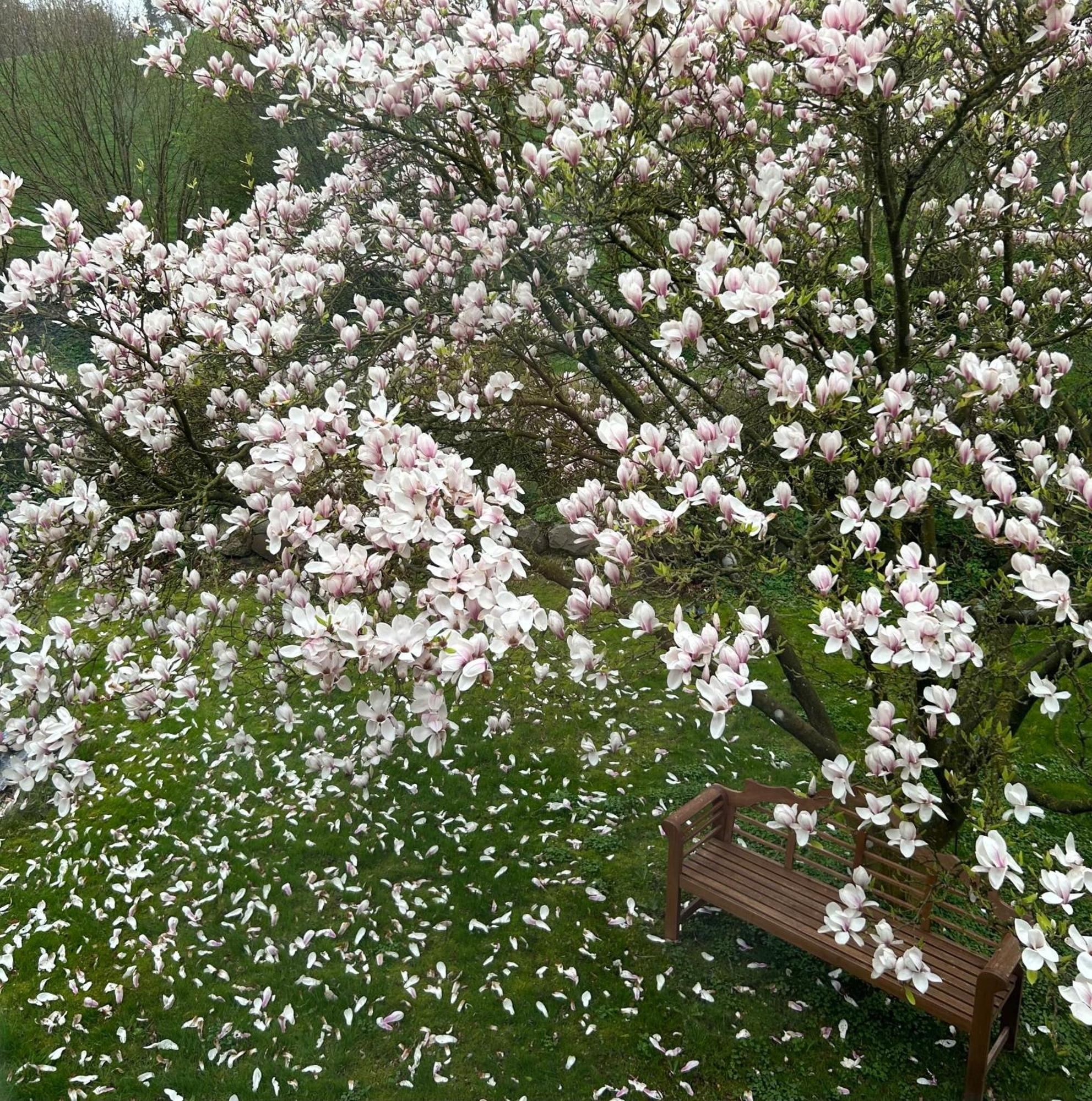 Giekau Ferien Und Freizeithof Engelau - Zi 6 아파트 외부 사진